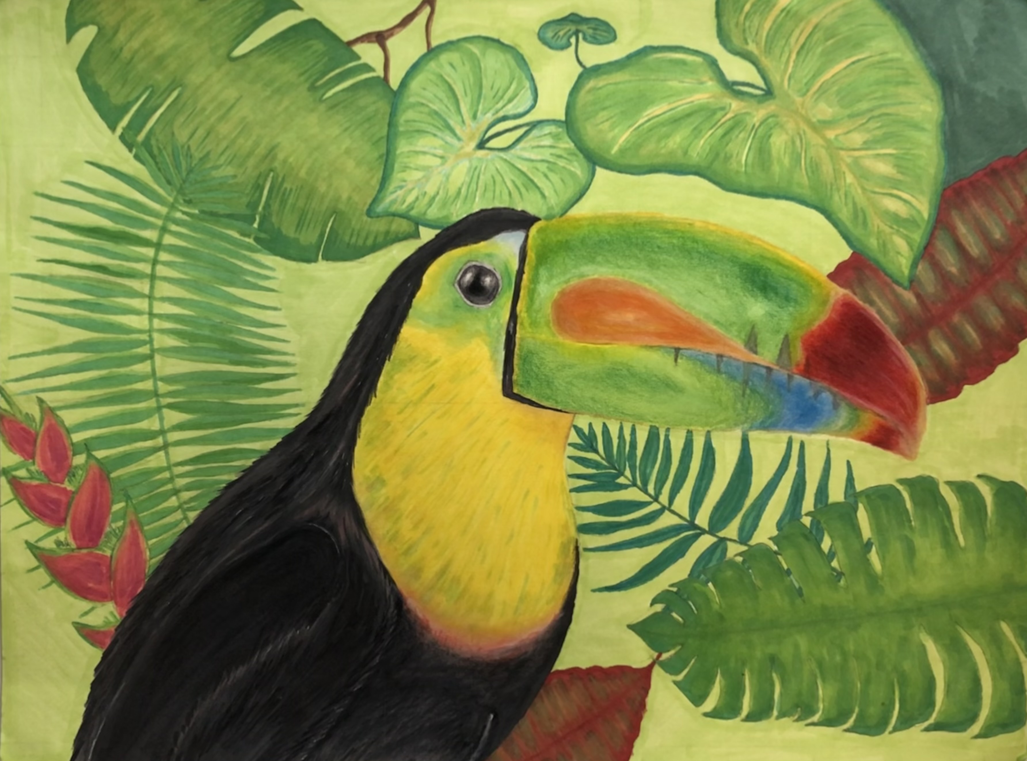 Painted study of a toucan
